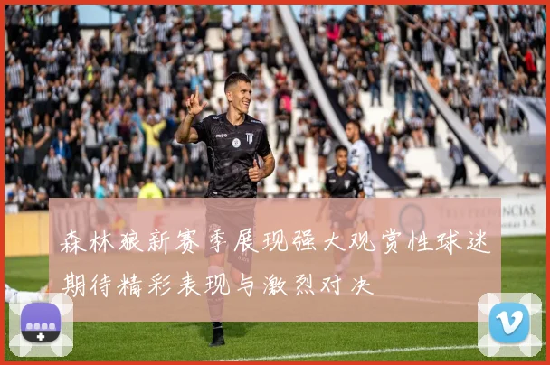 森林狼新赛季展现强大观赏性球迷期待精彩表现与激烈对决