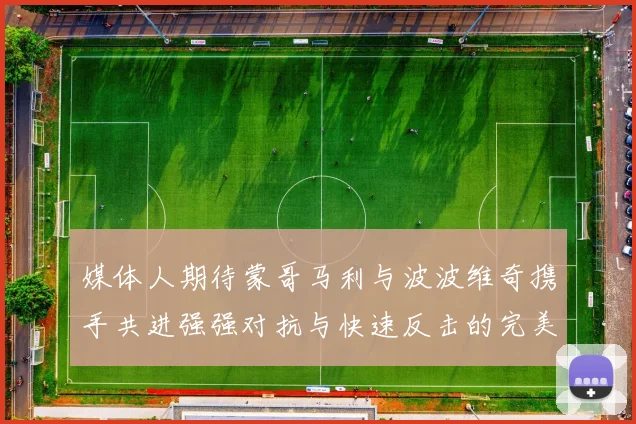媒体人期待蒙哥马利与波波维奇携手共进强强对抗与快速反击的完美结合